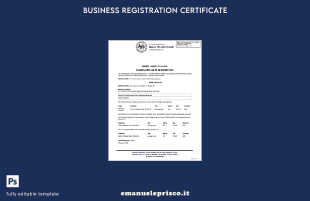 stile verificato Articoli online dell'organizzazione USA New Mexico Modello Word
